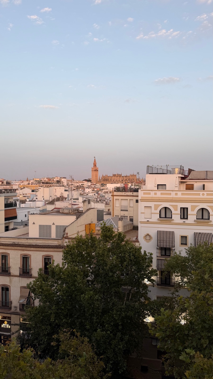 Seville by High-Speed Train: The Overnight That Beat the Drive